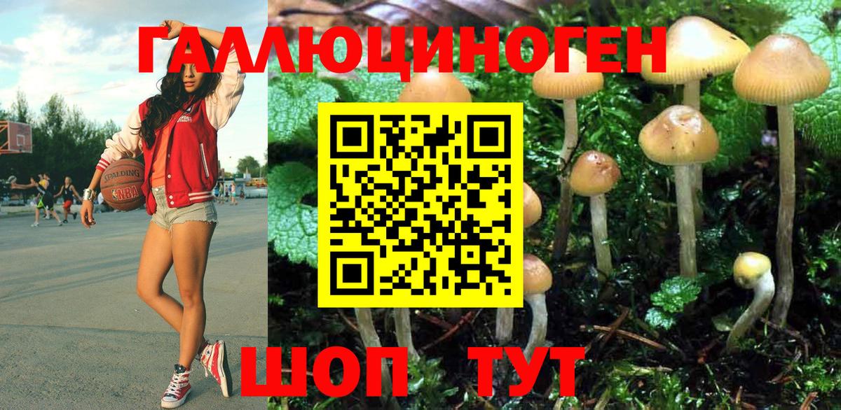 Галлюциногенные грибы MAGIC MUSHROOMS Белово