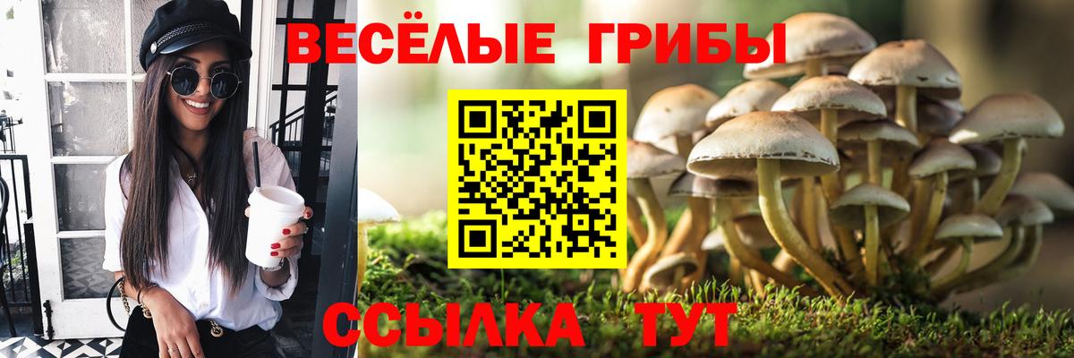 наркота  Вход с VPN  Белово  Псилоцибиновые грибы мицелий  Псилоцибиновые грибы Psilocybe 